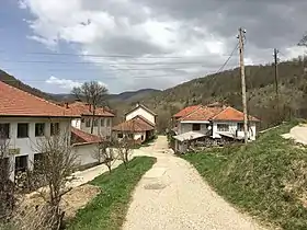 Dobrovnitsa