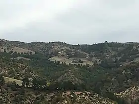 Kourfaliya