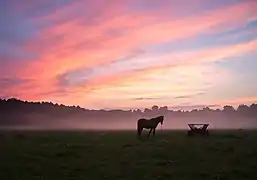 Réserve de Bouchtchansky, classée