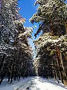 la réserve de Babka, classé,