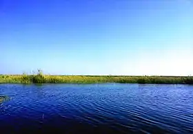 Image illustrative de l’article Lac Mariout