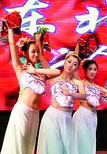 Dongbeilang Errenzhuan