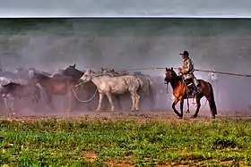 Cavalier dans l'Est de la bannière d'Ujumqin