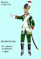 Chasseur du 10e&nbsp;régiment par décret de 1791