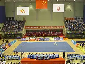 Le 10e&nbsp;championnat de Chine de wushu