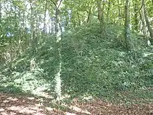La motte féodale de l'ancien château en bois de Coëtseizploë.