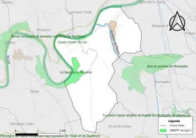 Carte des ZNIEFF de type 1 de la commune.