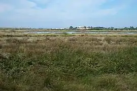 Marais de Müllembourg.