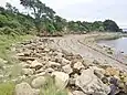 Grève à la pointe du Roz bordée de blocs provenant de résidus de carrière en pierre de Logonna provenant de la carrière du Roz toute proche.