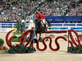 Image illustrative de l’article Hickstead (cheval)