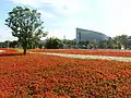 Parterre de fleurs aux floralies de Taipei de 2010&nbsp;(en). Au loin, l'EcoARK et le gratte-ciel Taipei 101.