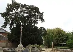 If, &nbsp;Site classé (1939)