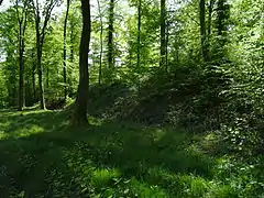 Le terril du puits no&nbsp;11.