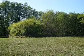 Terril du puits no&nbsp;1.