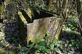 Berlines abandonnées (Aubigny-la-Ronce).