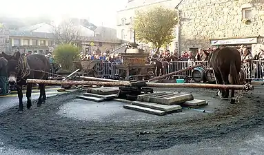 Manège tiré par des chevaux actionnant un pressoir à cidre ("Fête des tisserands" à Quintin).