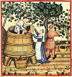 Les vendanges au XIVe&nbsp;siècle