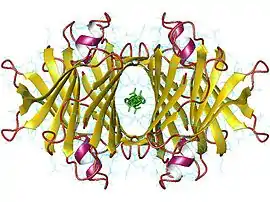 Image illustrative de l’article Transthyrétine