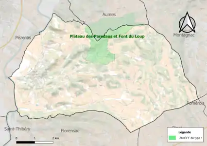 Carte de la ZNIEFF de type 1 sur la commune.