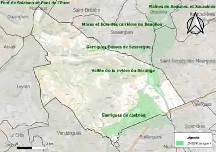Carte des ZNIEFF de type 1 sur la commune.