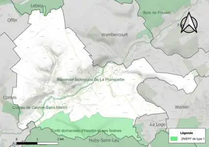 Carte des ZNIEFF de type 1 sur la commune.