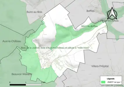 Carte des ZNIEFF de type 1 sur la commune.