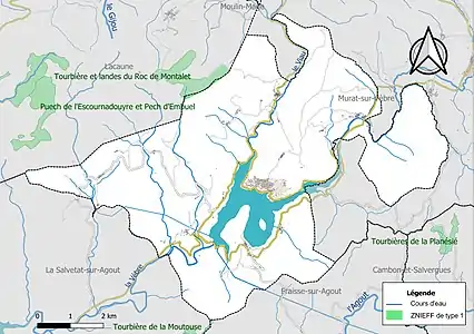 Carte de la ZNIEFF de type 1 sur la commune.