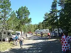 Végétation plus clairsemée à environ 1,5&nbsp;km du chalet Reynard. Pins à crochets.