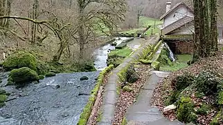 Le ruisseau et le conduit de la prise d'eau.