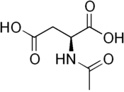 Image illustrative de l’article Acide N-acétylaspartique