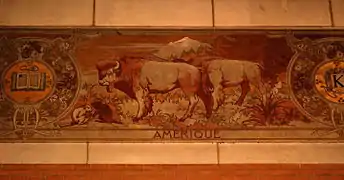 Amérique (bisons).