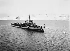 illustration de Reshitelny (destroyer)