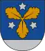 Blason de Aizkraukle