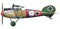 Albatros D.V de Paul Bäumer, Jasta 5