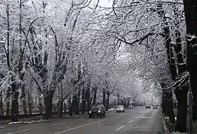 Image illustrative de l’article Ensemble des rues Mladena Stojanovića et Kralja Petra