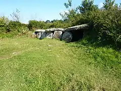 L'allée couverte de Kergüntuil.