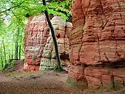 Les Altschlossfelsen.