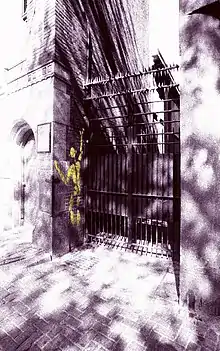 Graffiti photographié avec une pellicule Kodak 1000 ASA (Amsterdam, 1996).