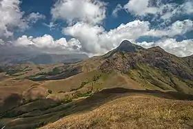 Vue sur l'Anamudi, depuis la crête de Naikolli Mala