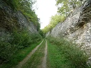 Ligne de Triguères à Surgy
