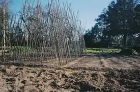 28&nbsp;mm :courte focale, image de petite taille.