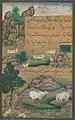 Animaux de l'Hindoustan : petits cerfs et vaches appelées gīnī, du manuscrit enluminé.