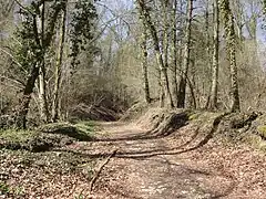 Le GR 124 à l'ouest du village.