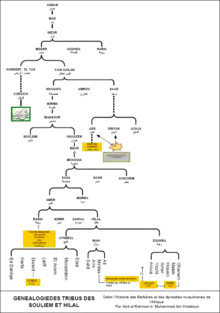 Voici la lignée des Banu Hilal, ancêtres de la tribu Saharis
