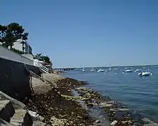 Quartier Est au bord du bassin d'Arcachon.