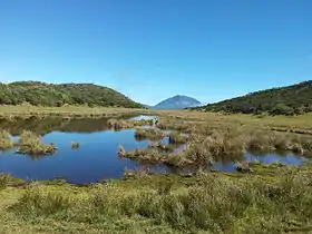 Vue de l'intérieur du cratère en direction du piton des Neiges.