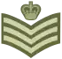 Insigne de Staff Sergeant