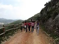 Arrivée de Sant Antoni à l'ermitage.