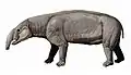 Reconstitution d’Astrapotherium magnum.