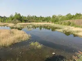 Le terril no&nbsp;125 en avril 2011.